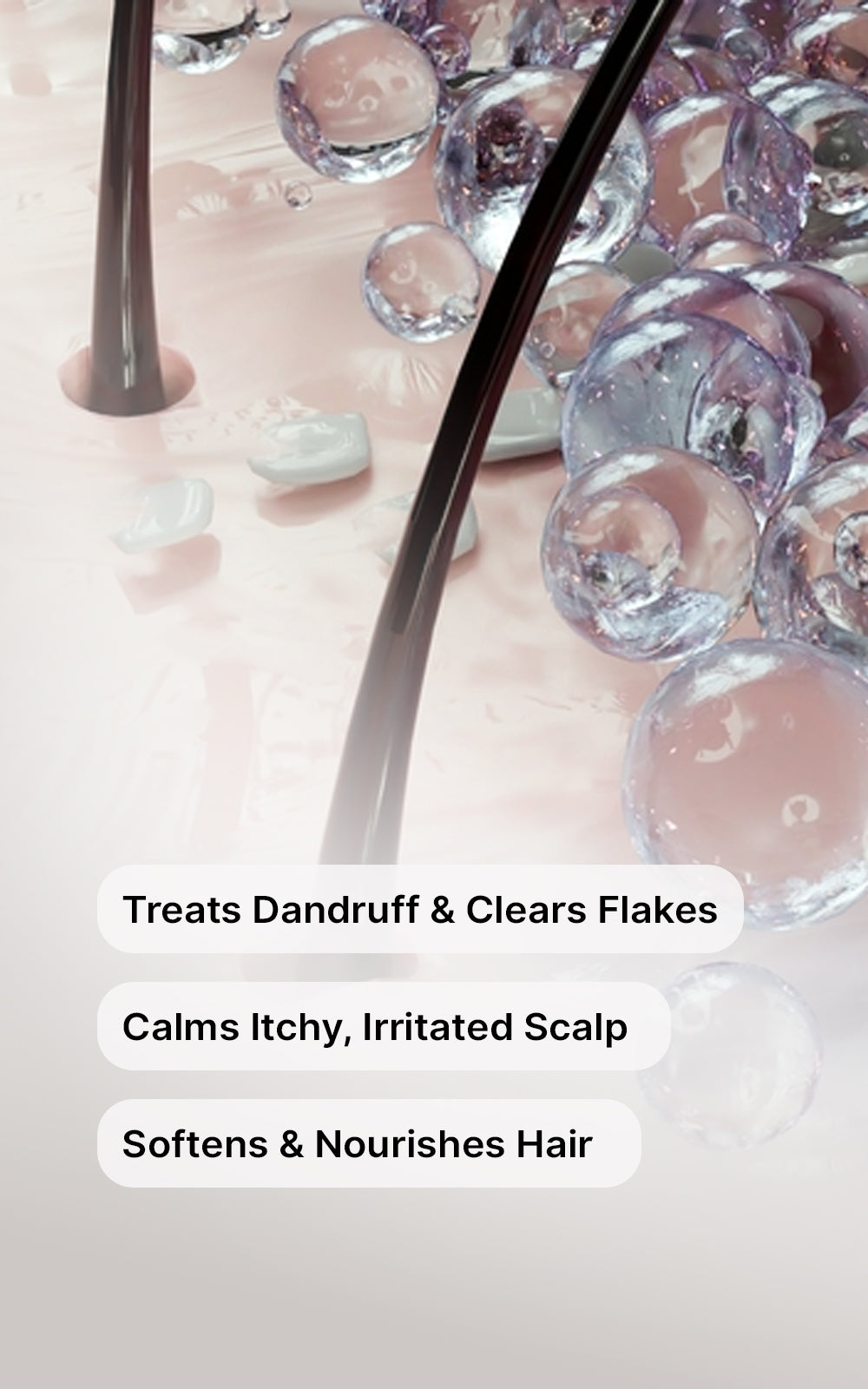 Anti-Dandruff Shampoo