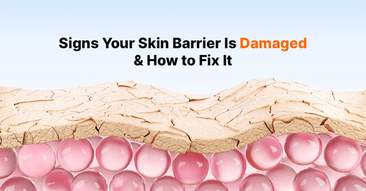 Signs Your Skin Barrier Is Damaged — And How to Fix It