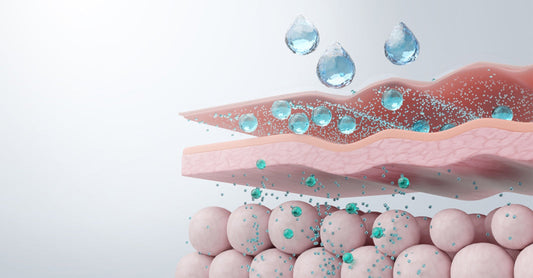 Skin Barrier Repair for Pakistani Skin: The Complete Guide (2026)