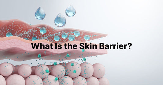 What Is the Skin Barrier and Why Does It Matter?